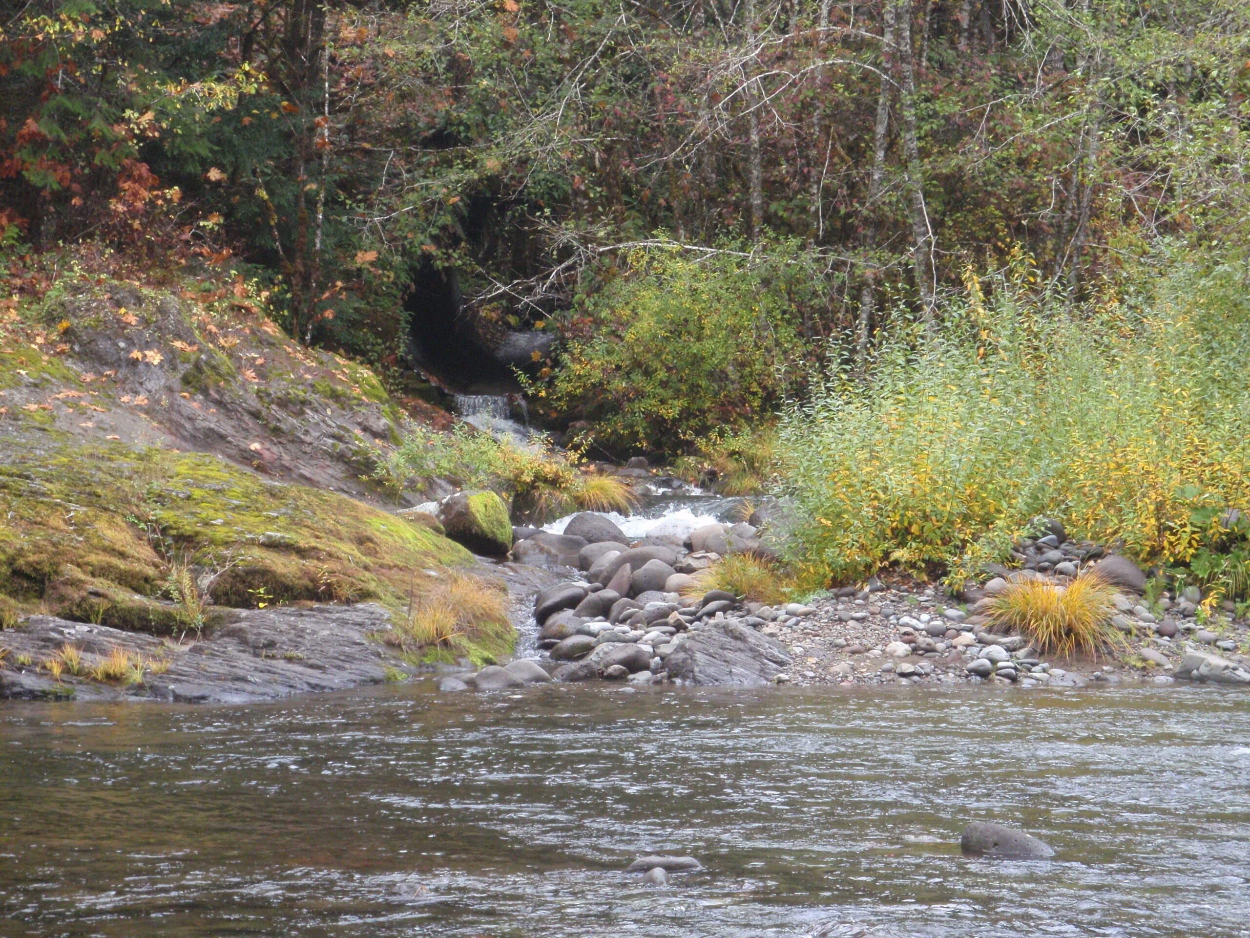 services-04 Fall Stream Scaled